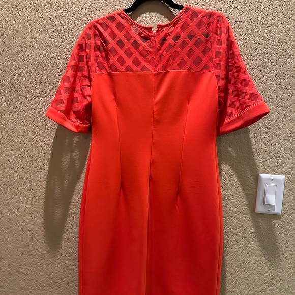 Elegant Orange Dress - Picture 4 of 5